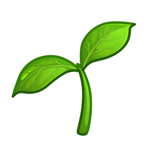 Seedling